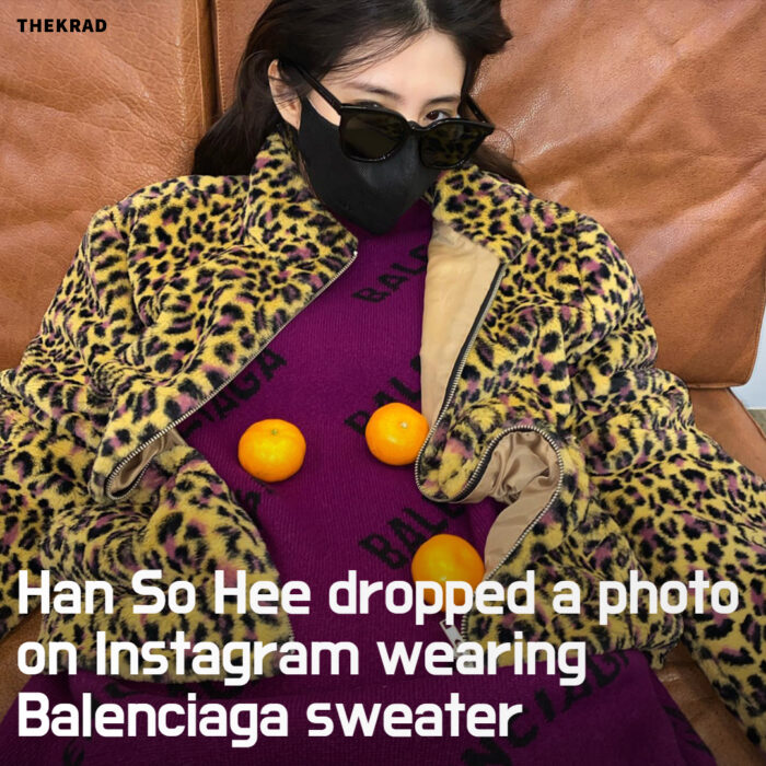 Han So Hee dropped a photo on Instagram wearing Balenciaga sweater