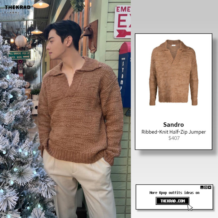 Cha Eun Woo Outfit from Feb 22, 2022 : Sandro half-zip sweater