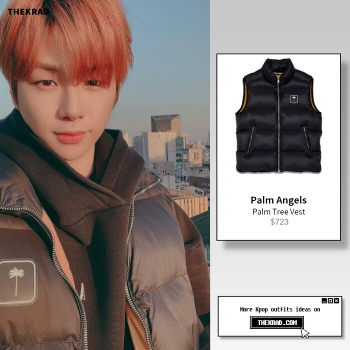 Kang Daniel outfit from March 28, 2022 : Palm Angels vest